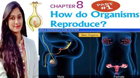 Reproduction Basics How Do Organisms Reproduce Part 1 Class 10 Cbsesslc Youtube