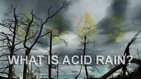 What Is Acid Rain What Are Its Causes And Effects 2d Animation