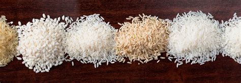 There are some varieties of rice would need more or less than the others. Retrieving Lost Rice Varieties - Climate South Asia Network