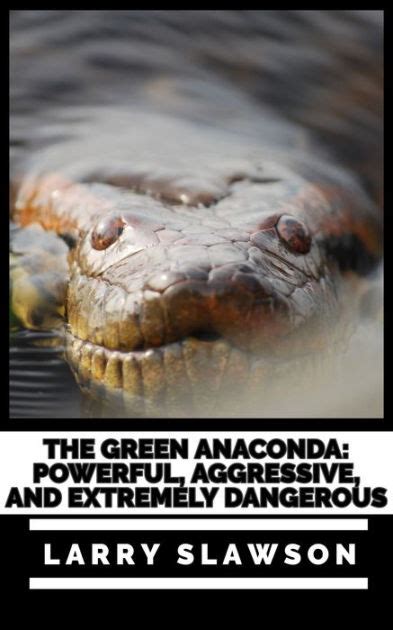 The Green Anaconda Powerful Aggressive And Extremely Dangerous By