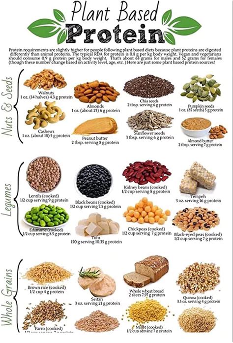haosensix plant based protein infographics metal tin signs nutritionist knowledge