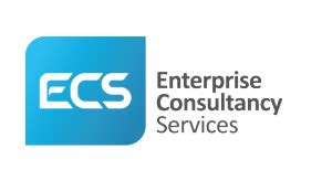 Jobs And Careers At Enterprise Consultancy Services Egypt Wuzzuf