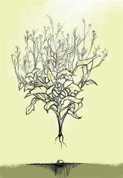 Mustard Seed Tree Leaf Clipart Clipart Suggest