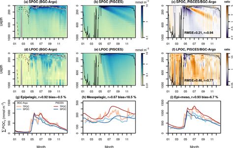 Temporal Evolution Of Small And Large Poc Concentrations Spoc And