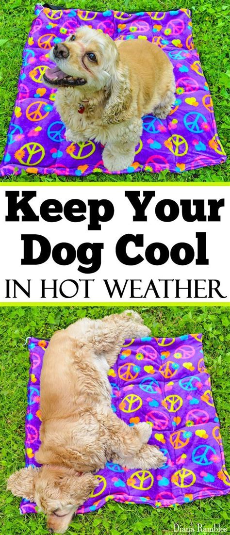 Keep Your Dog Cool In Hot Weather With This Diy Dog Cooling Pad Sewing