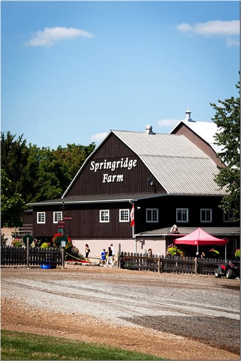 Springridge Farm | Flickr