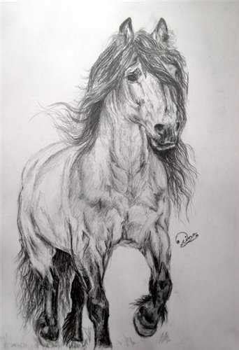 Нарисованные лошади Ой Уроки рисования для начинающих мультики раскраски