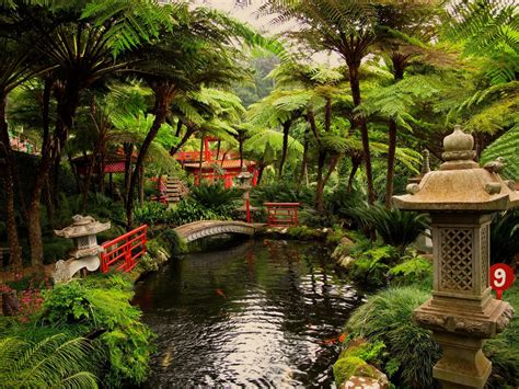 Обои японский сад сад японский сад камней садовый дизайн природа