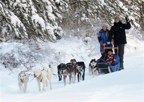 We understand as life long dog owners that there were a lot of folks out there who just were tired of the same old thing. Unleash the Musher Dog Sled Tour | Howling Dog Tours ...