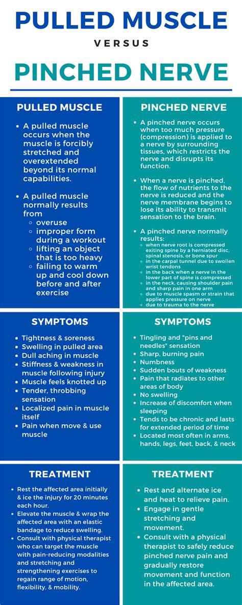 Pulled Muscle Vs Pinched Nerve Infographic Mangiarelli Rehabilitation