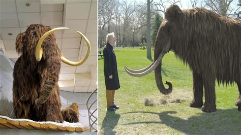 Russian Scientists Are Planning To Clone Woolly Mammoth Youtube