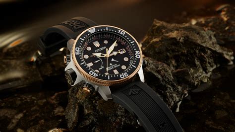Citizen Promaster Dive Watches Are Practical Timepieces In Classic Form