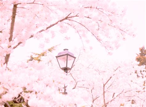 Maybe you would like to learn more about one of these? Pin by K Lok on Japan | Japan aesthetic, Japanese ...