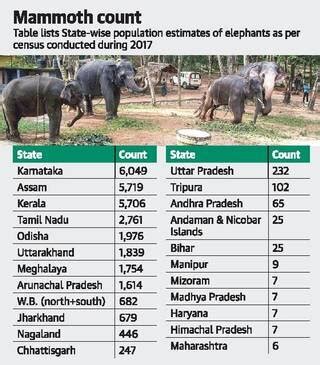Elephant Counting Methods Employed in Census