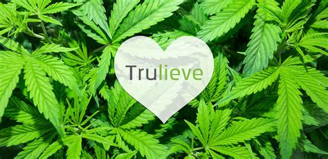 Trulieve Cannabis: The Most Undervalued Cannabis Stock ...