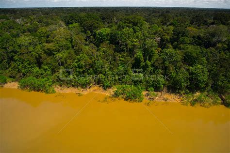 Overflightstock Aerial View Of Amazon Rainforest And The Yavari