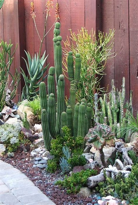 They have an individual website as well but it's terribly designed. How To Use Cacti In Outdoor Decor | outdoortheme.com