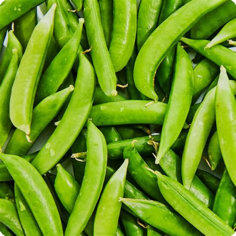Snap Pea Seeds Sugar Snap Heirloom Untreated Non Gmo From Canada
