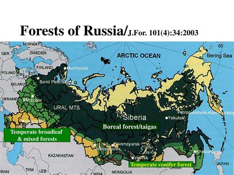 Ppt Forestry And Society Boreal Forests Powerpoint Presentation Free