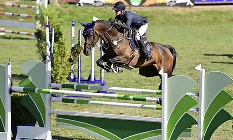 43rd Psi Auction Super Talent Chyazint Jumps Into The Record Books