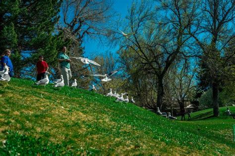 Liberty Park Best Attractions In Salt Lake City