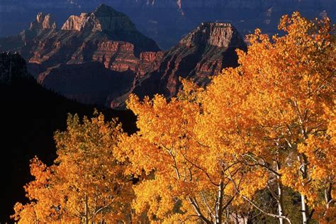 Here Are 10 Photos Of Arizona During Fall That Will Take Your Breath Away