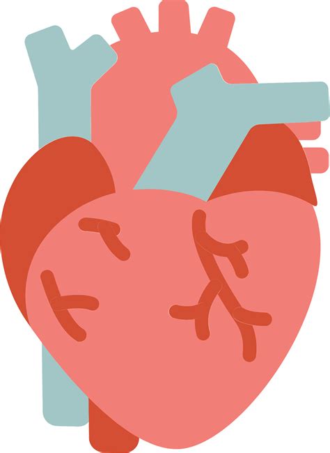 Vector Human Heart Png Picture Png Arts