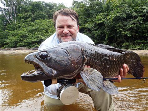 Uk Angler Lands Potential Record Wolf Fish In Suriname Outdoorhub