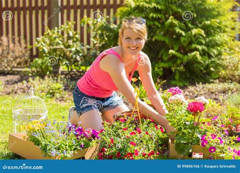 Woman Planting Roses In Garden Stock Photo Image Of Beautiful Bush