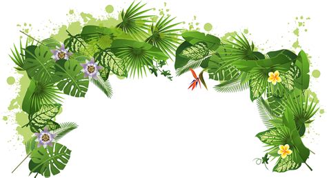 Rainforest Flowers Clip Art