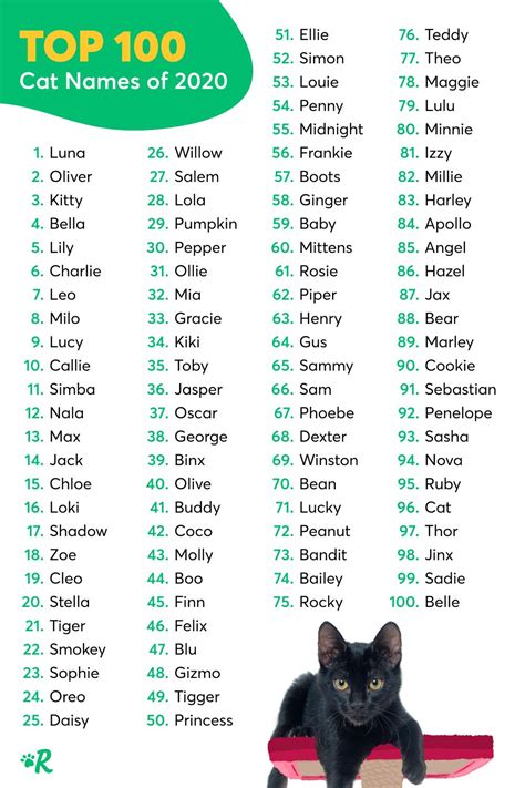 Cute Cat Names Artofit