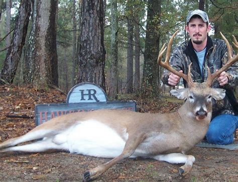Deer Hunting In Alabama Alabama Deer Hunting Lodge