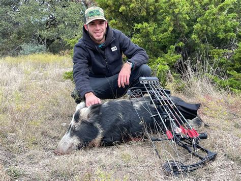 Texas Wild Hog Hunts Texas Hill Country Outfitters