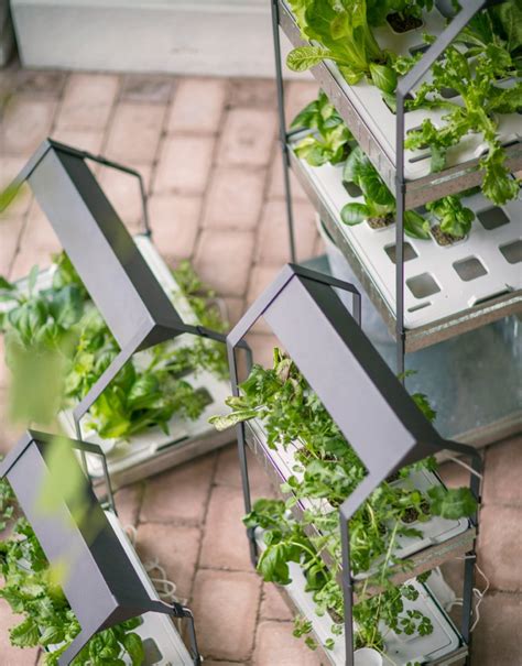 Ikea Launches Indoor Garden Innovation Essence
