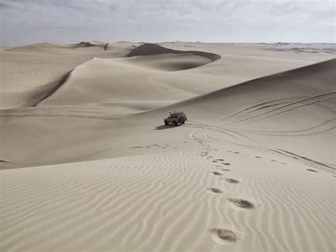 รูปภาพ ภูมิประเทศ ทะเลทราย เนินทราย รถจี๊ป ถิ่นที่อยู่ ระบบนิเวศ ซาฮาร่า Erg