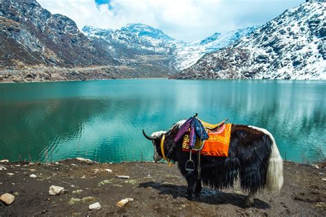 Famous tourist places in india state wise: Top Things to Do in Sikkim, India