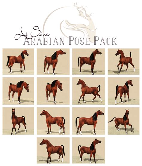 Equus Sims Cc Database Arabian Pose Pack I