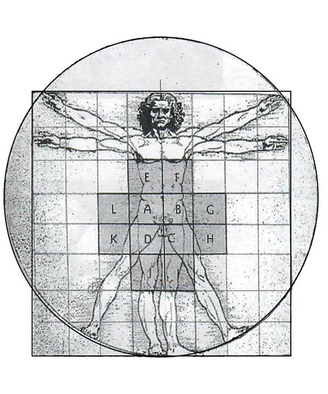 Article 196 Human Aandp Part 3 The Geometry Of Human Life More