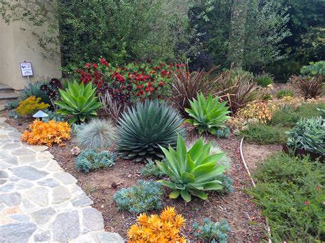 Drought Tolerant Mimis Garden Design