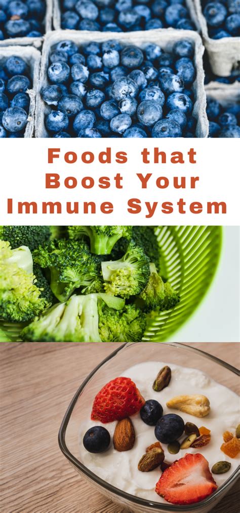 These foods—such as miso, pickles, olives, and yogurt—help increase the good bacteria in your gut. Foods that Boost Your Immune System (1) | Building Our Story