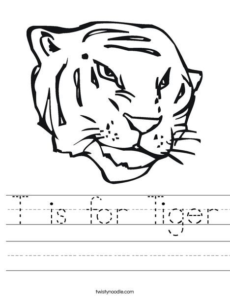 Coloring Pages Tigers Preschool