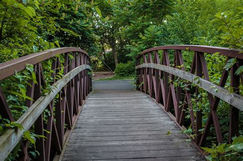 다리 자연 공원 Pixabay의 무료 사진