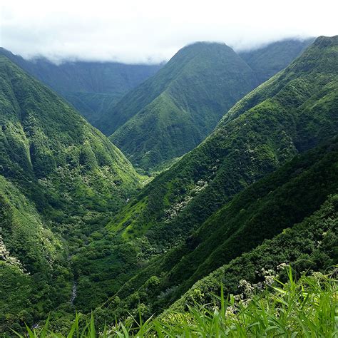 Spectacular views the whole way. Hiking Waihee Ridge Trail on Maui | Trip to maui, Maui ...