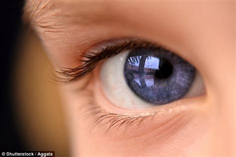 Think You Have Blue Eyes They Are Actually Brown Optical Illusion