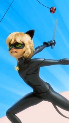 Cat Blanc And Anti Bug Video In 2021 Miraculous Ladybug Anime