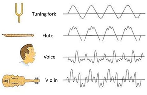 The characteristic quality of a sound: What Is Timbre: A Full Explanation | Musician Tuts