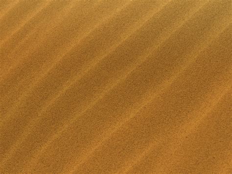 Desert Sand Dunes Texture Free Ground Dirt And Sand Textures For