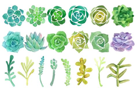 Succulent Clipart 20 Free Cliparts Download Images On Clipground 2019