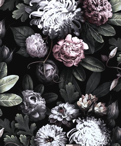 Dark Flower Wallpapers Top Free Dark Flower Backgrounds Wallpaperaccess
