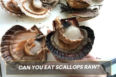 Can You Eat Scallops Raw Complete Guide Loving Food